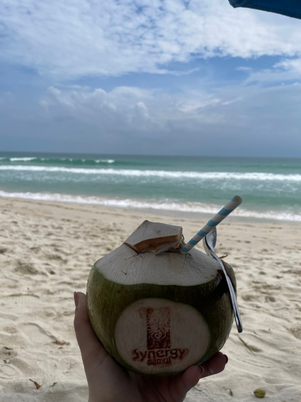 Kapitel 11 – Inselglück, Schreckmomente und&nbsp;Familytime