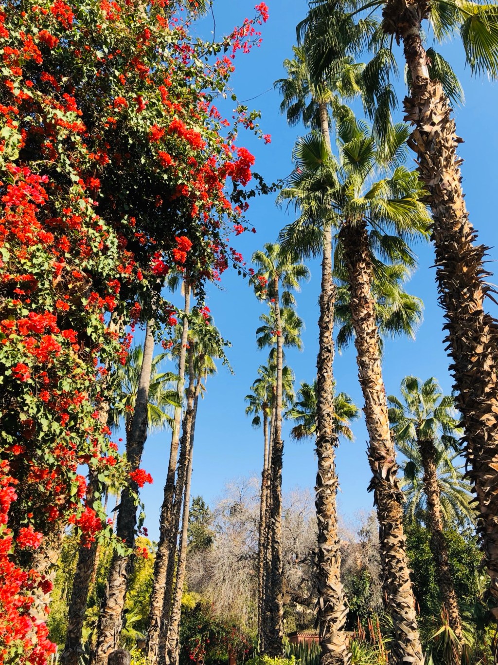 Kapitel 15 – Familienbesuch in Marrakech: Das erste Treffen in der zweiten&nbsp;Heimat